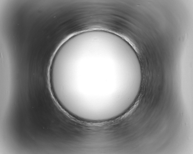 X0000098181134200804241025