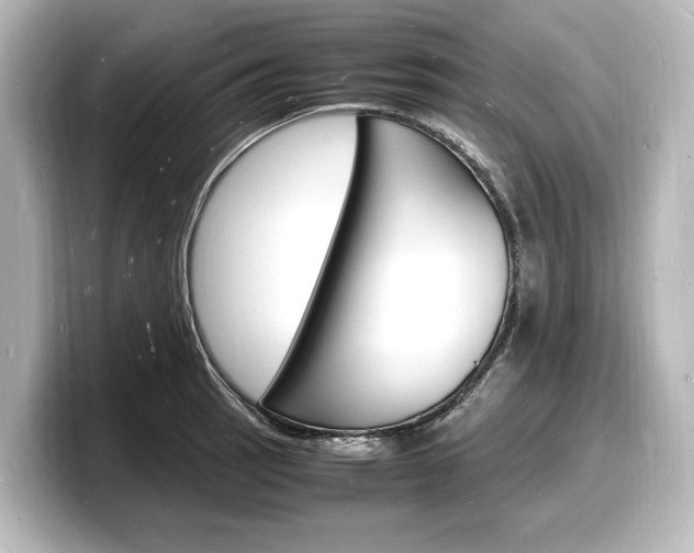 X0000098181137200804241025