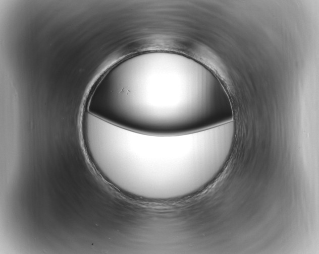 X0000098181138200804241025