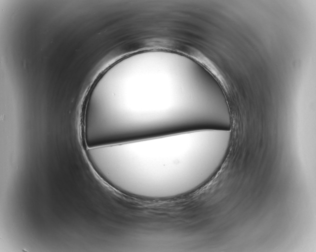 X0000098181143200804241025