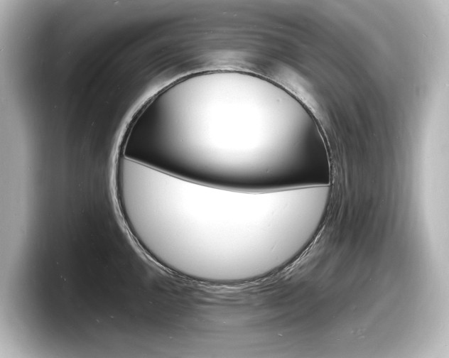 X0000098181144200804241025