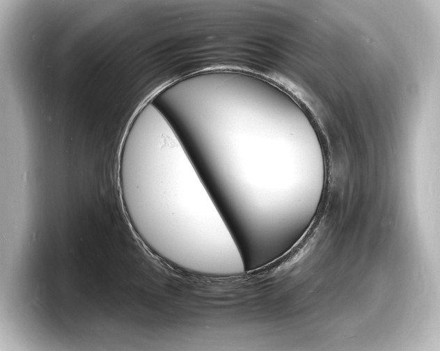 X0000098181145200804241025