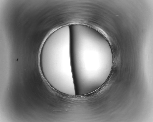 X0000098181146200804241025