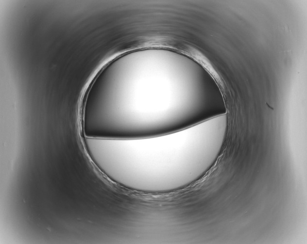 X0000098181148200804241025