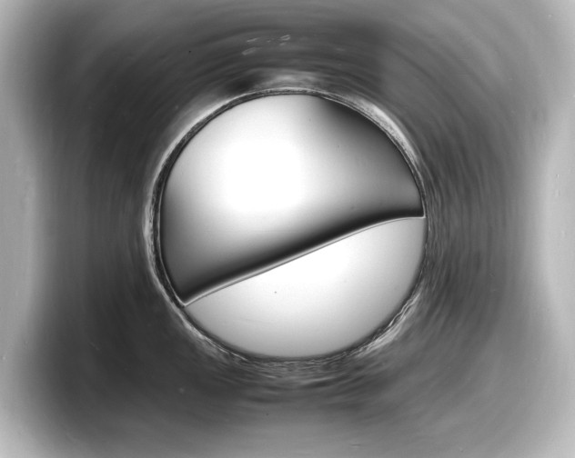 X0000098181149200804241025