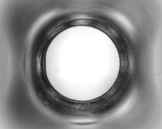 X0000098181150200804241025