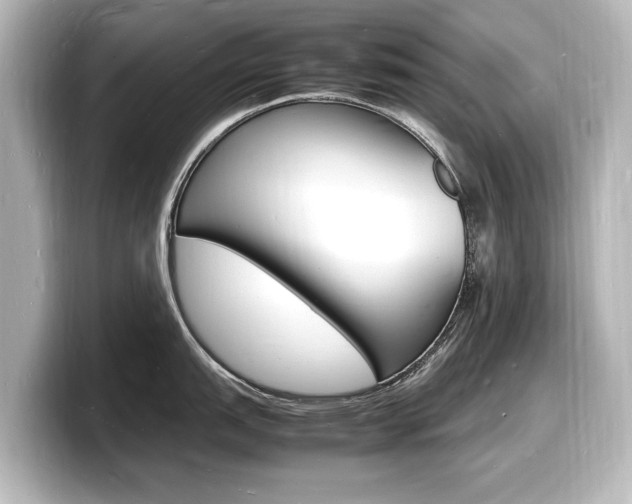 X0000098181151200804241025
