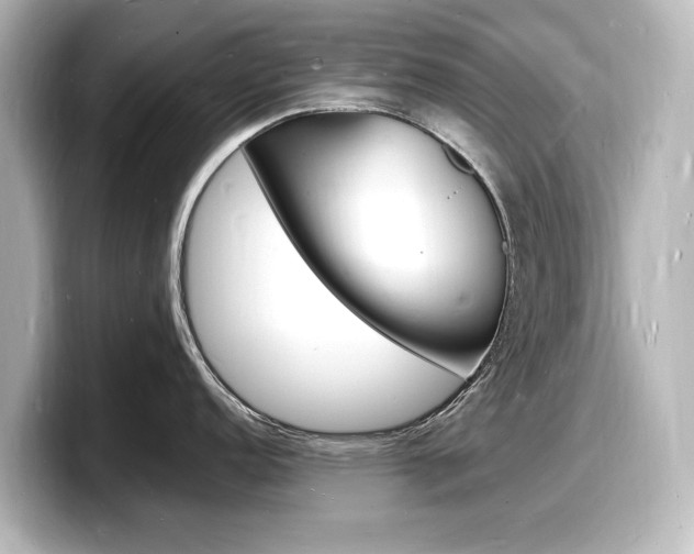 X0000098181152200804241025