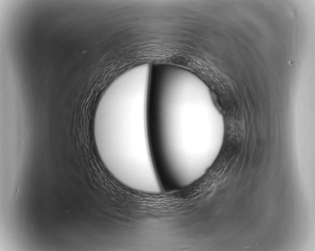 X0000098181153200804241024