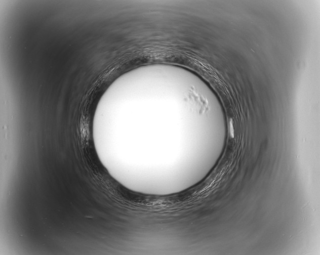 X0000098181155200804241024