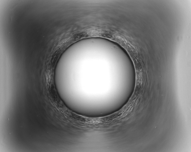 X0000098181157200804241024