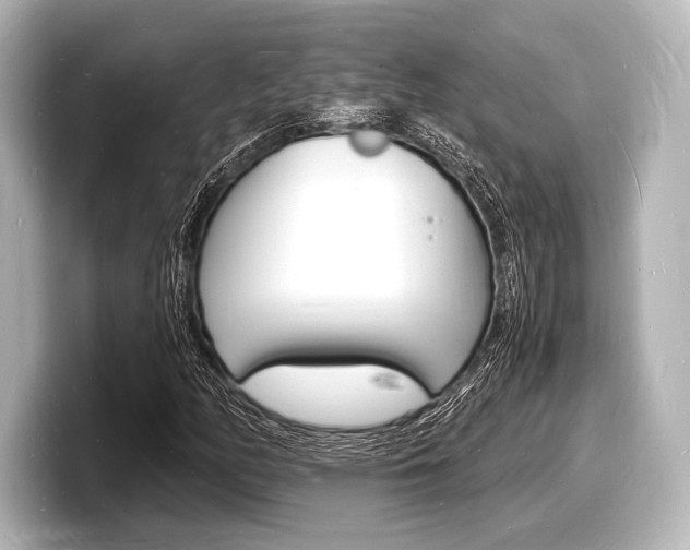 X0000098181158200804241024