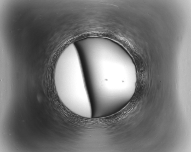 X0000098181159200804241024
