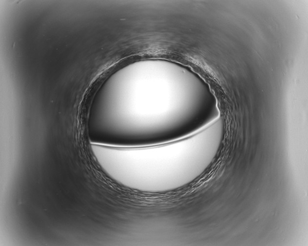 X0000098181160200804241024