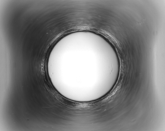 X0000098181162200804241024