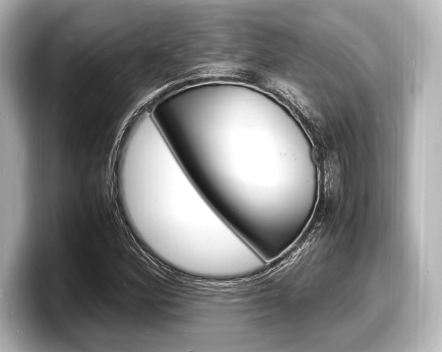 X0000098181164200804241024