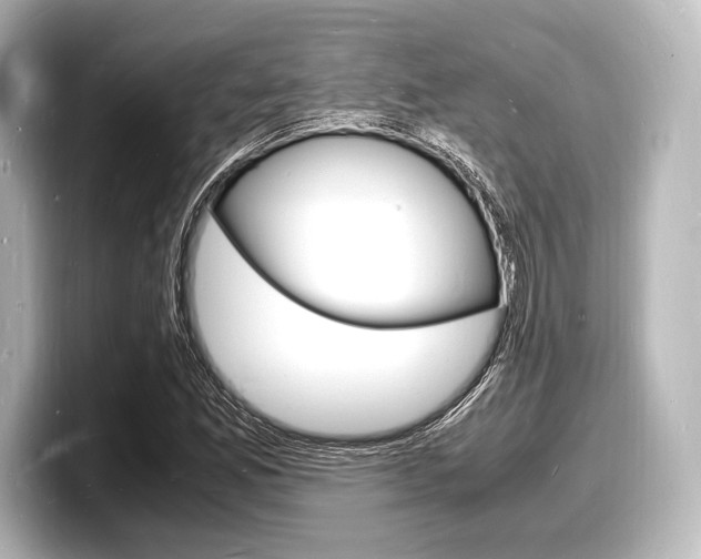 X0000098181165200804241024