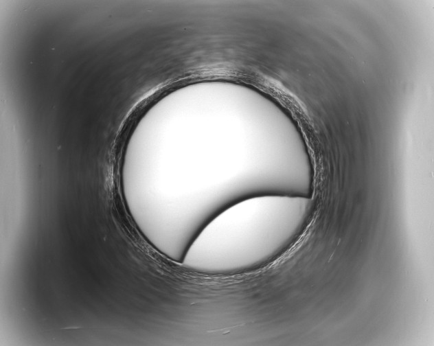 X0000098181166200804241024