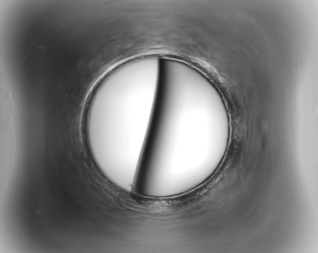 X0000098181167200804241024