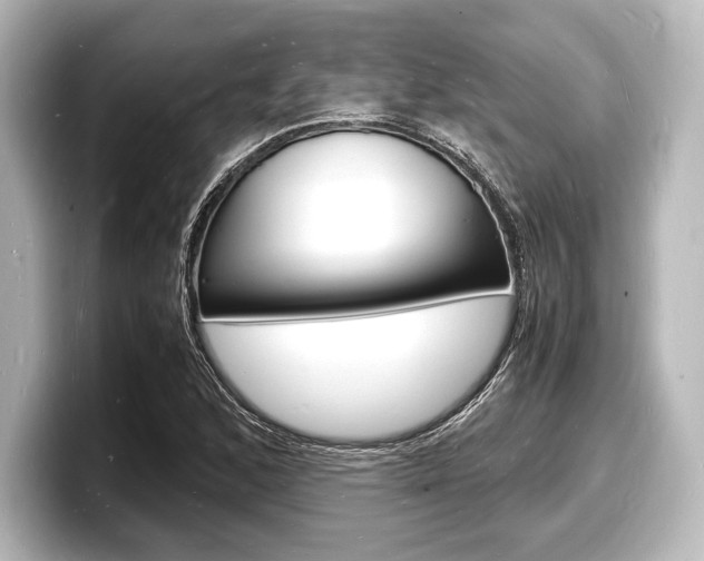 X0000098181168200804241024