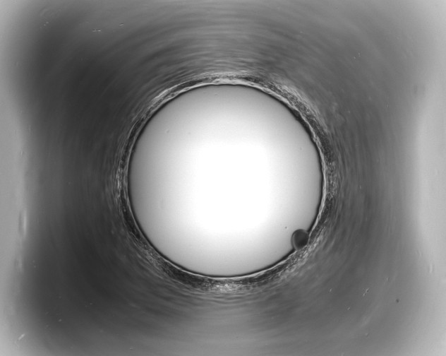 X0000098181169200804241024