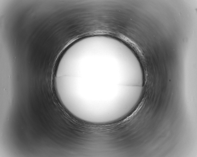X0000098181170200804241024