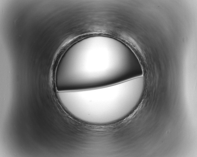 X0000098181172200804241024