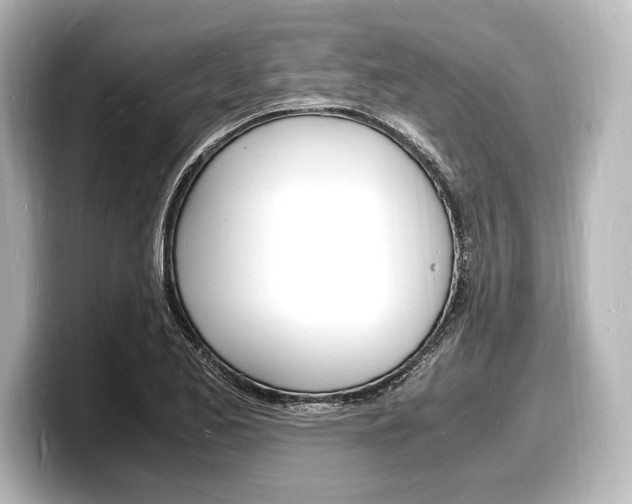 X0000098181173200804241024