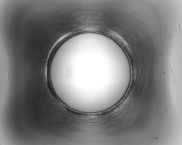 X0000098181174200804241024