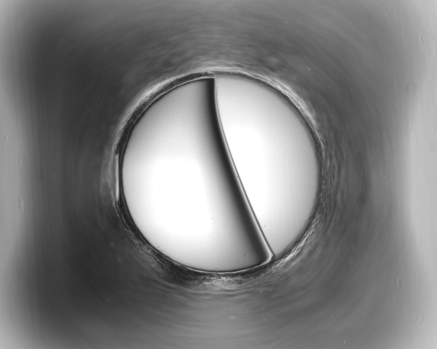 X0000098181175200804241024