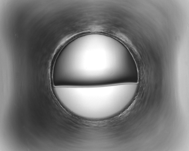 X0000098181176200804241024