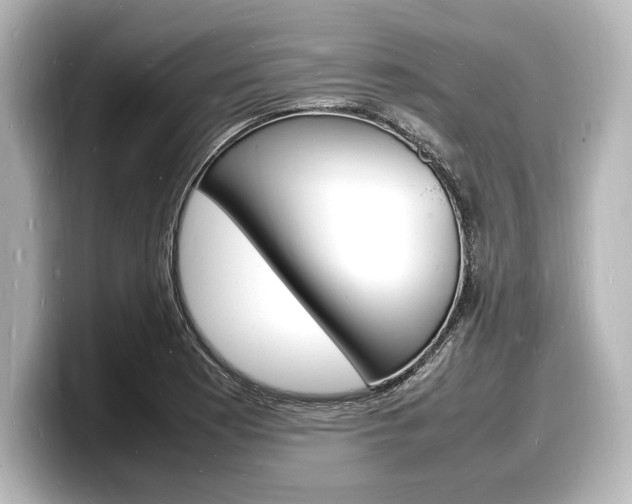 X0000098181177200804241024