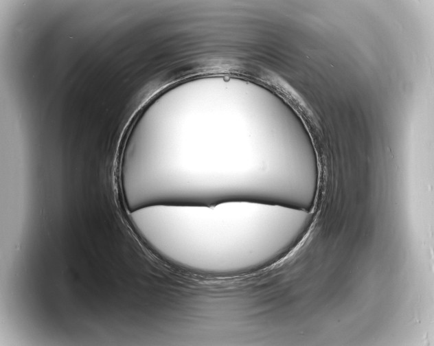 X0000098181178200804241024