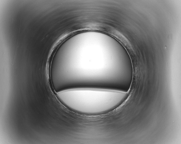 X0000098181180200804241024