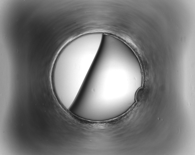 X0000098181181200804241024