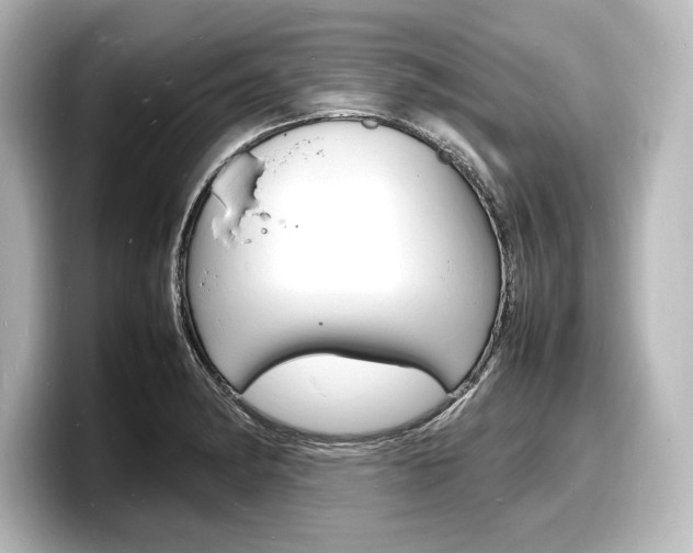 X0000098181182200804241024