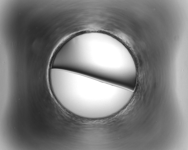 X0000098181183200804241024
