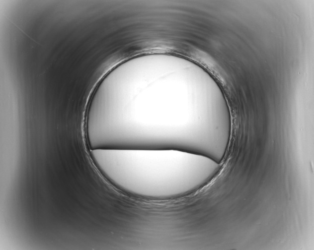 X0000098181186200804241024