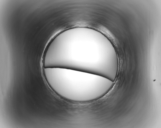 X0000098181190200804241024
