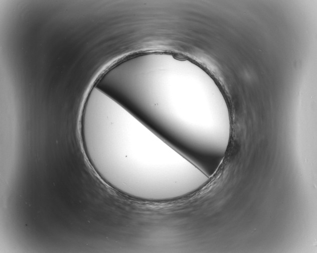 X0000098181191200804241024