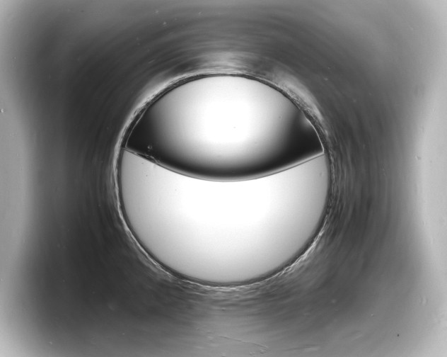X0000098181192200804241024