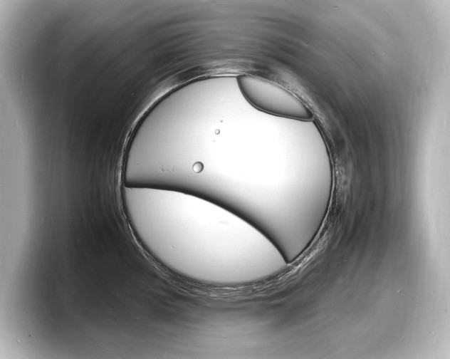 X0000098181194200804241024