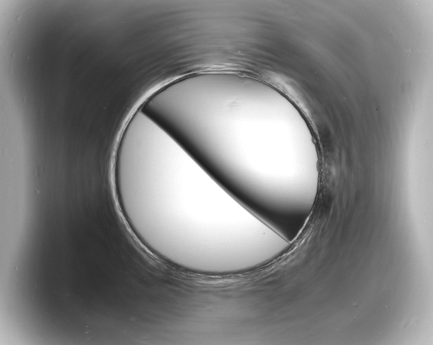 X0000098181195200804241024