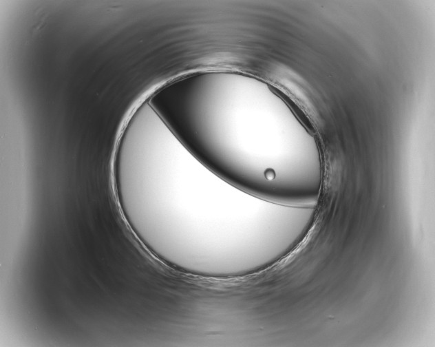 X0000098181196200804241024