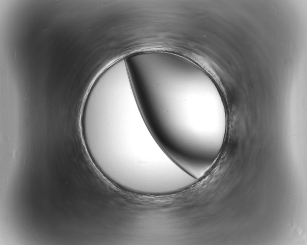 X0000098181197200804241024