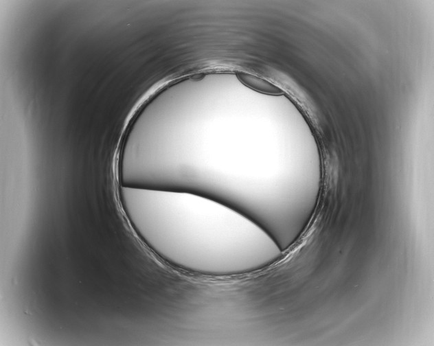 X0000098181198200804241024