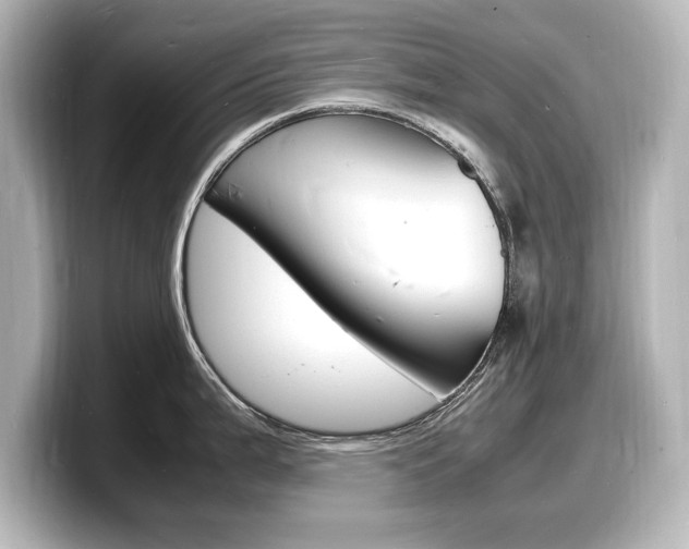 X0000098181199200804241024