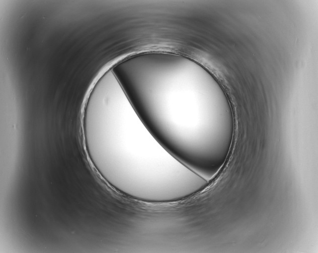 X0000098181200200804241024