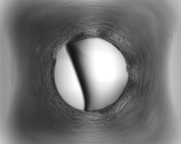 X0000098181201200804241023