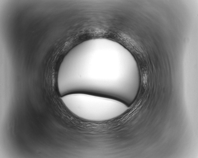 X0000098181204200804241023